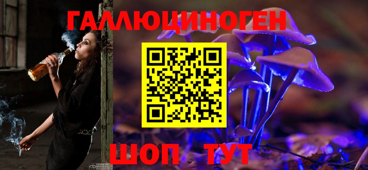 Псилоцибиновые грибы Psilocybe Ялуторовск
